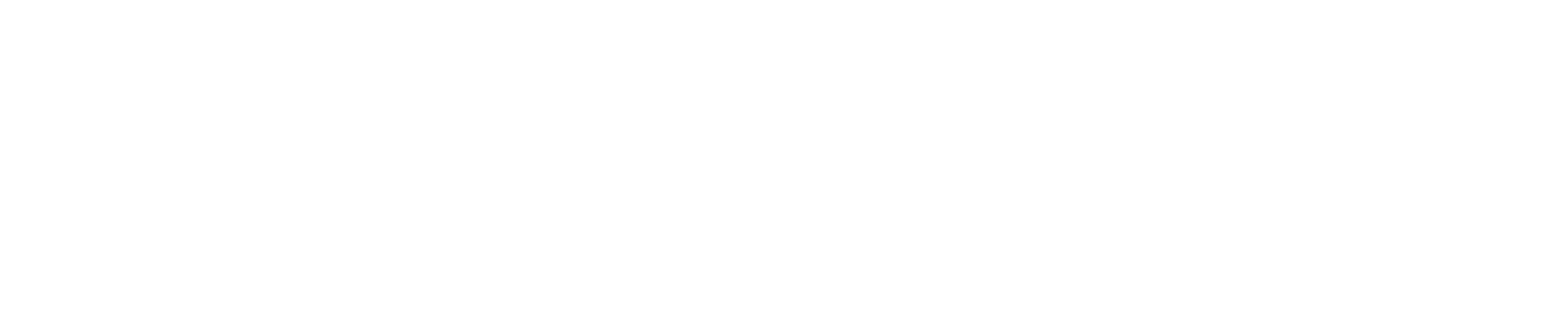 Cooliblade_Horizontal Logo_RGB_White-1